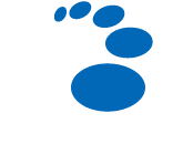 WAVE corporation